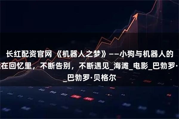 长红配资官网 《机器人之梦》——小狗与机器人的爱只能在回忆里，不断告别，不断遇见_海滩_电影_巴勃罗·贝格尔