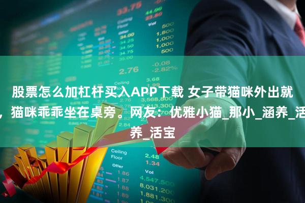 股票怎么加杠杆买入APP下载 女子带猫咪外出就餐，猫咪乖乖坐在桌旁。网友：优雅小猫_那小_涵养_活宝