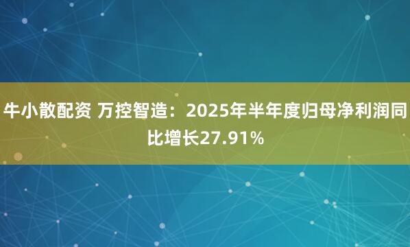 牛小散配资 万控智造：2025年半年度归母净利润同比增长27.91%
