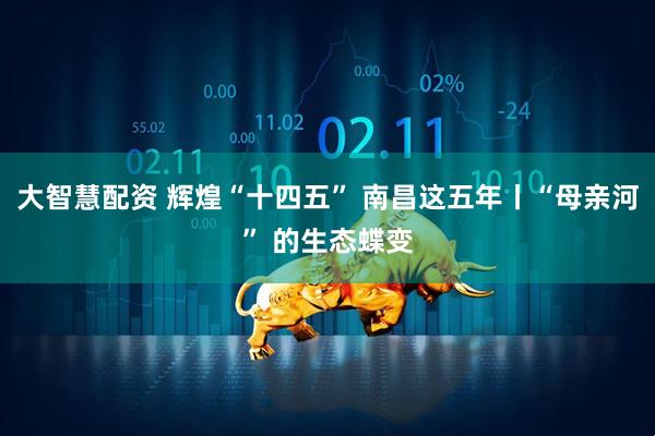 大智慧配资 辉煌“十四五” 南昌这五年丨“母亲河” 的生态蝶变