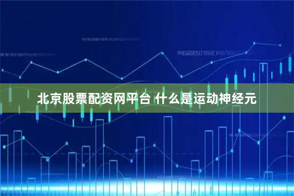 北京股票配资网平台 什么是运动神经元