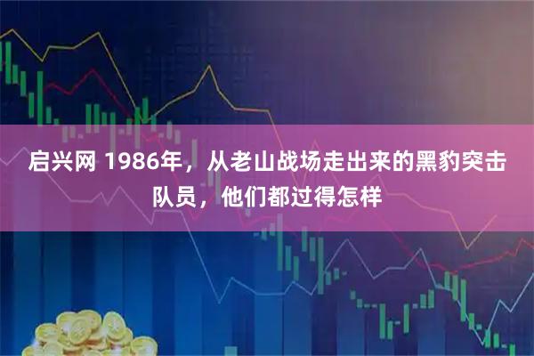 启兴网 1986年，从老山战场走出来的黑豹突击队员，他们都过得怎样