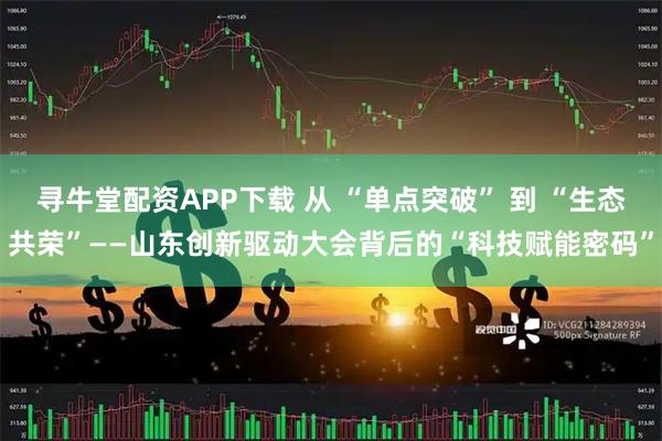 寻牛堂配资APP下载 从 “单点突破” 到 “生态共荣”——山东创新驱动大会背后的“科技赋能密码”